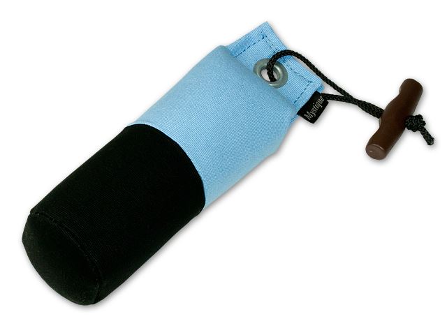 Mystique Dummy Marking