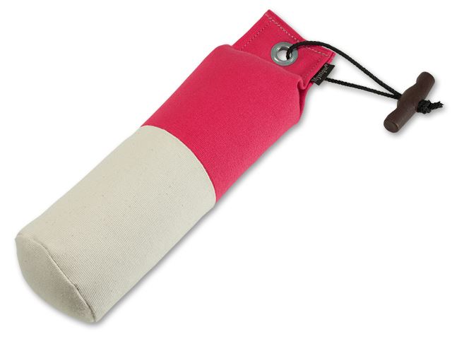 Mystique Dummy Marking