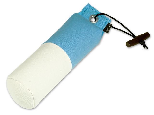 Mystique Dummy Marking