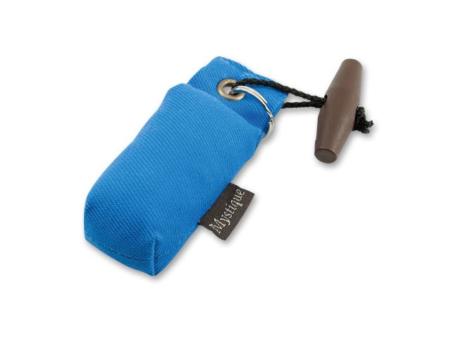 Mystique Mini Dummy Key case