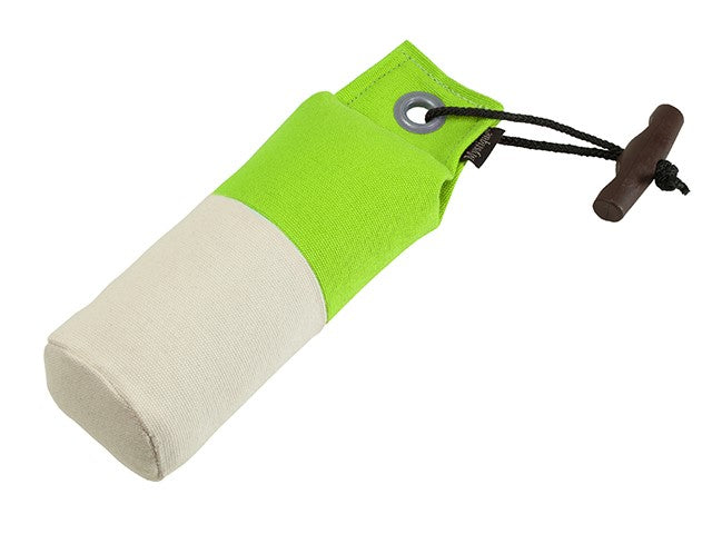Mystique Dummy Marking