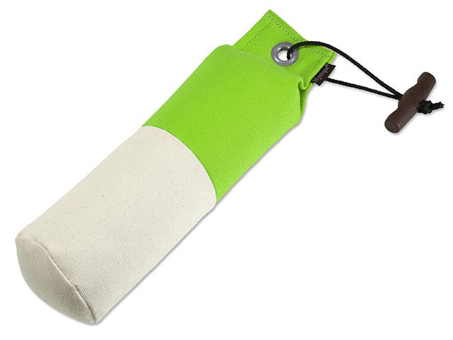 Mystique Dummy Marking