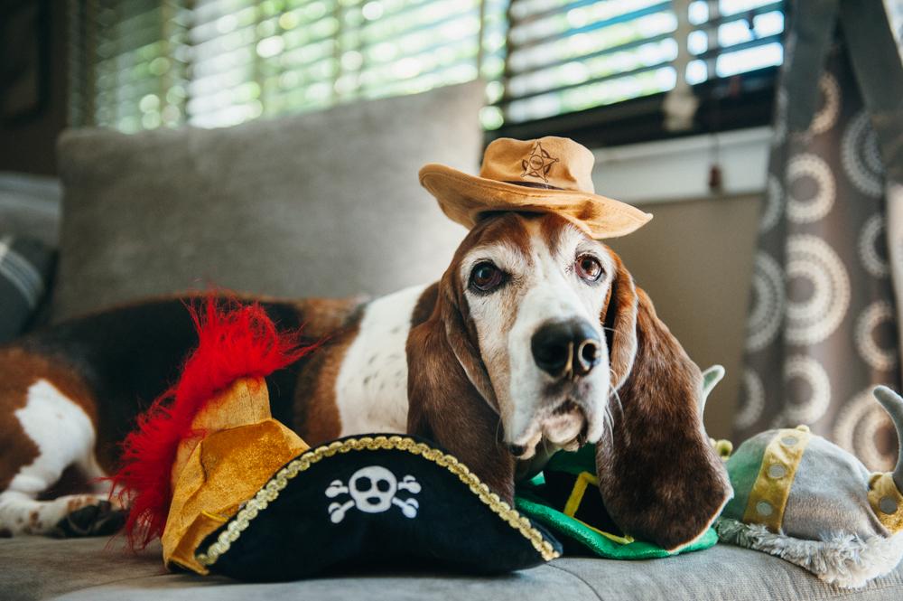 P.L.A.Y. Mutt Hatter Collection