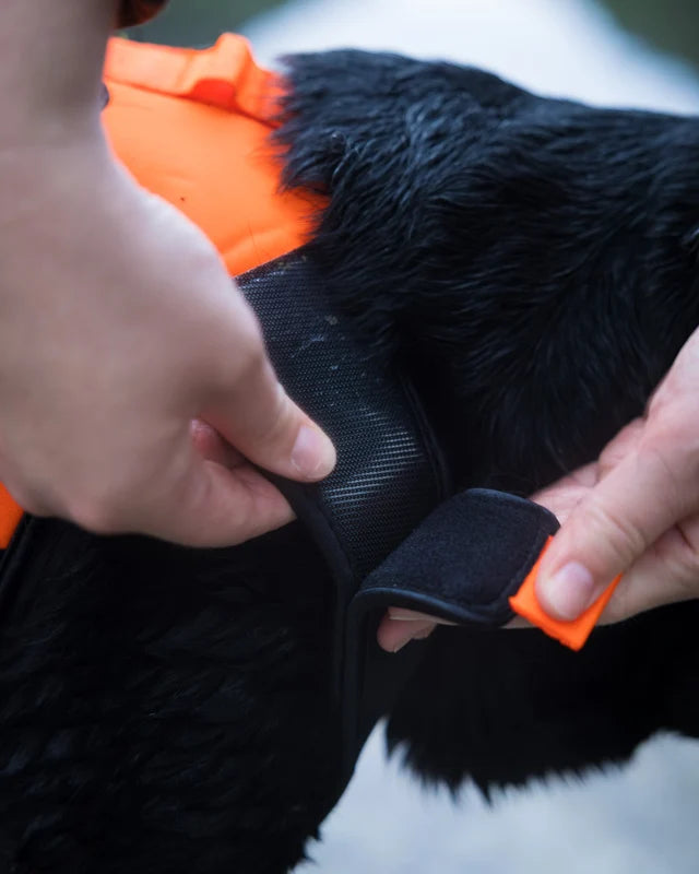 Non-stop dogwear Protector Neoprene Vest orange