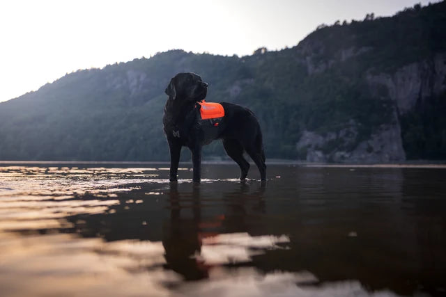 Non-stop dogwear Protector Neoprene Vest orange