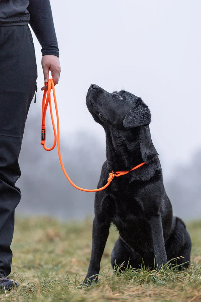 Non-stop dogwear Retriever Leash