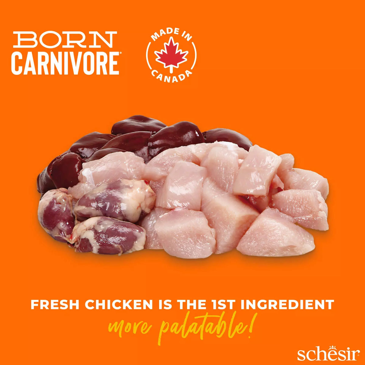 Schesir Cat Born Carnivore 255g