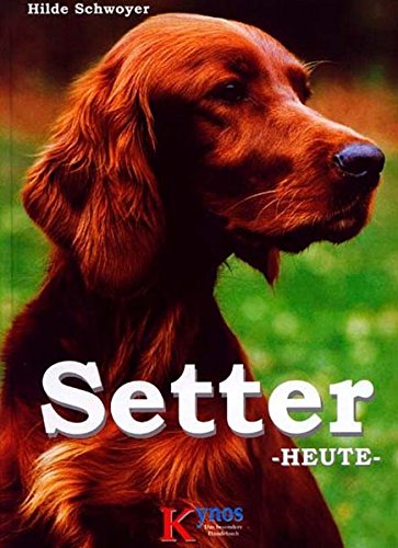 Setter Heute [Schwoyer]