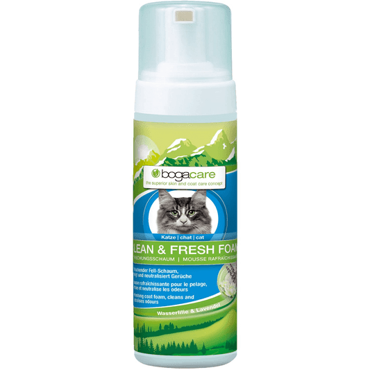 Bogacare Clean & Fresh Foam Katze 150ml