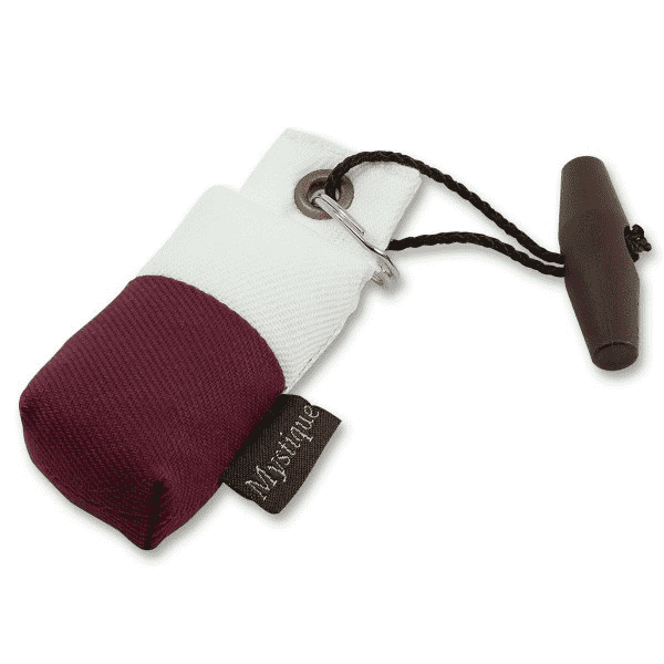 Mystique Mini Dummy Key case