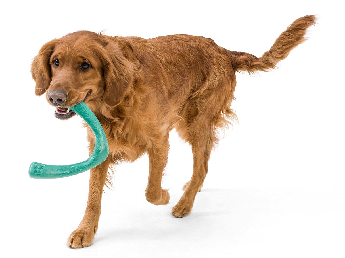 West Paw Hundespielzeug Seaflex SNORKL