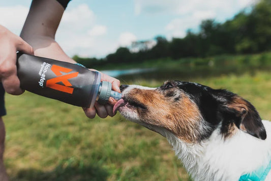 Non-stop dogwear NS Softflask grey 500ml