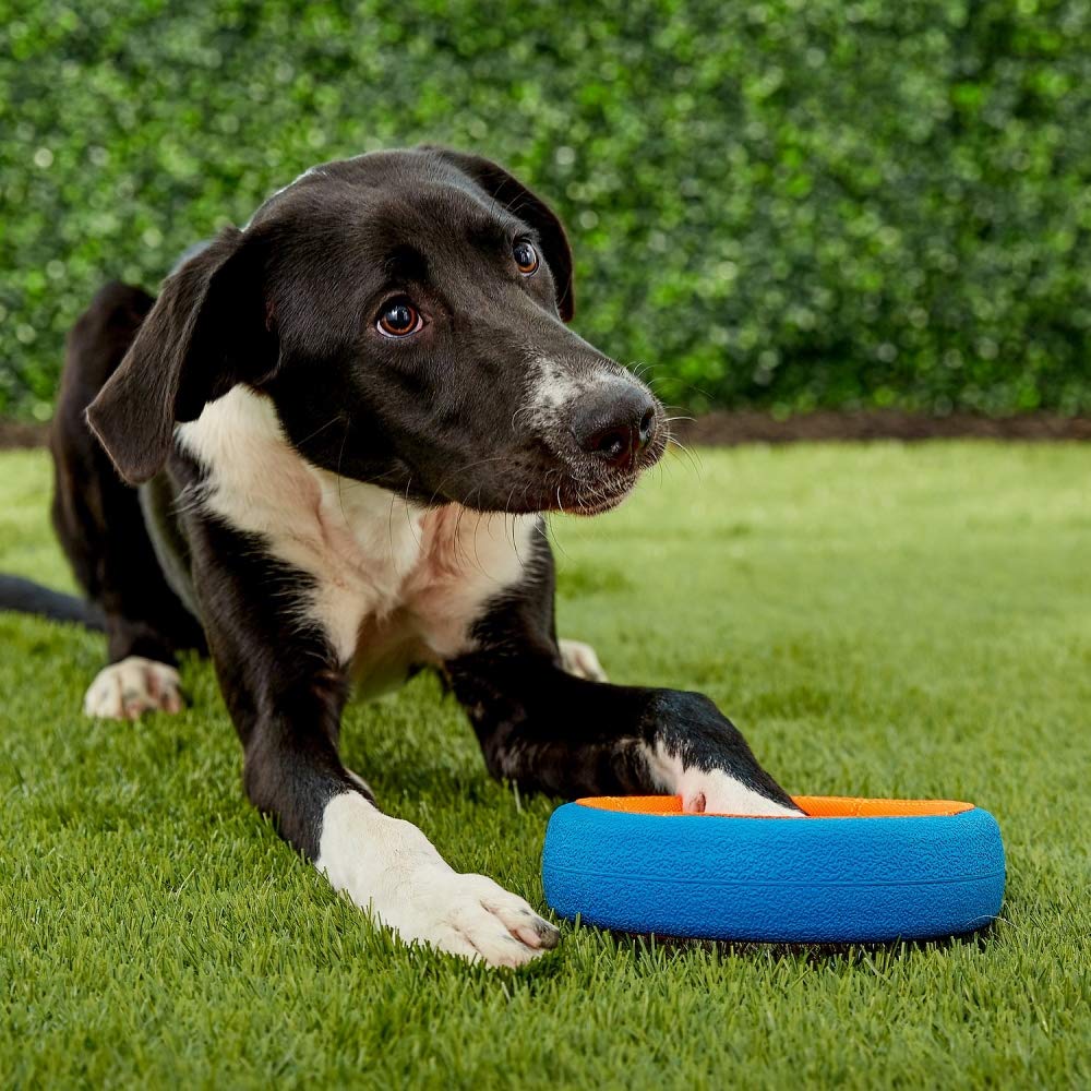 Chuckit Fetch Wheel