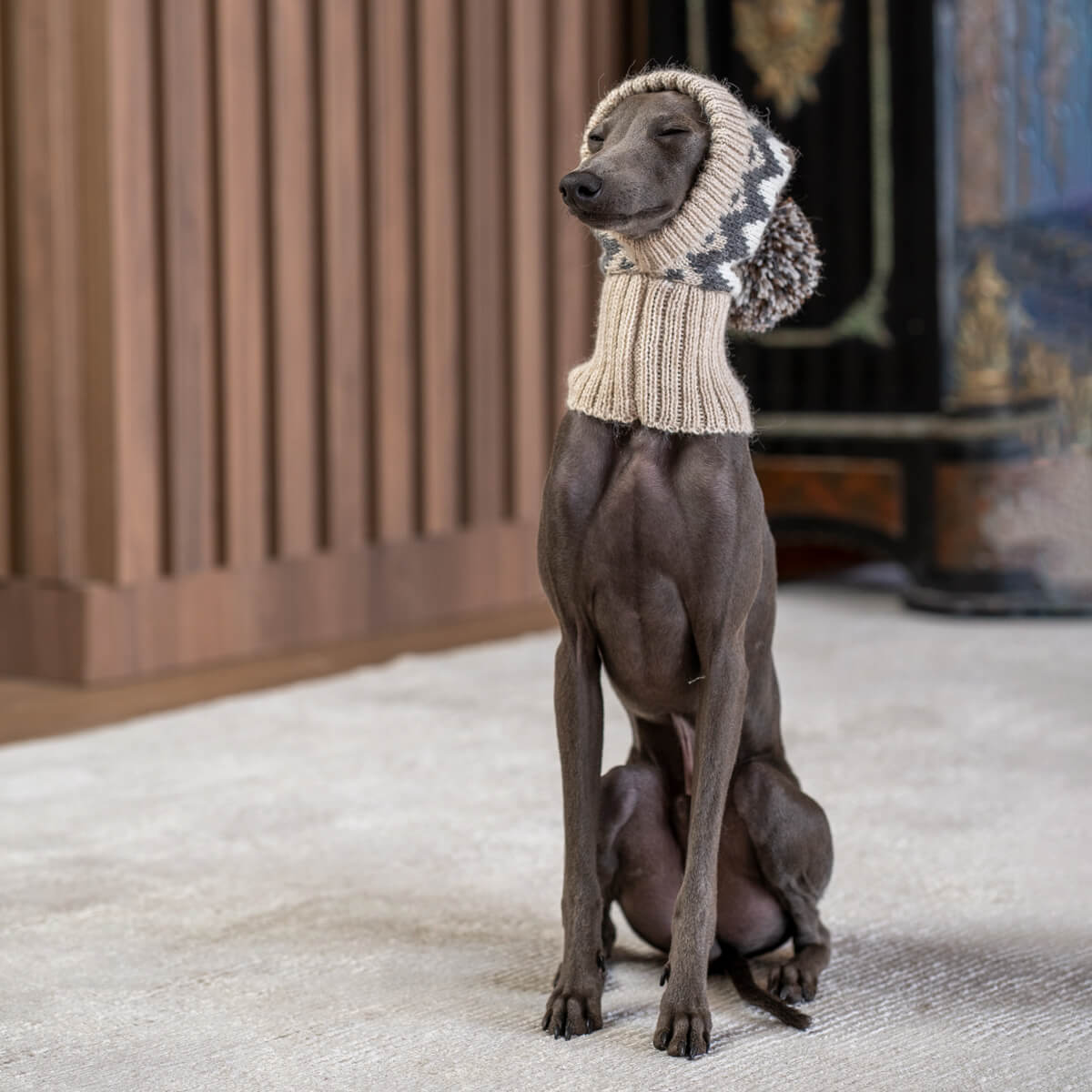 Alqo Wasi Hunde-Schalmütze Woolly Winter