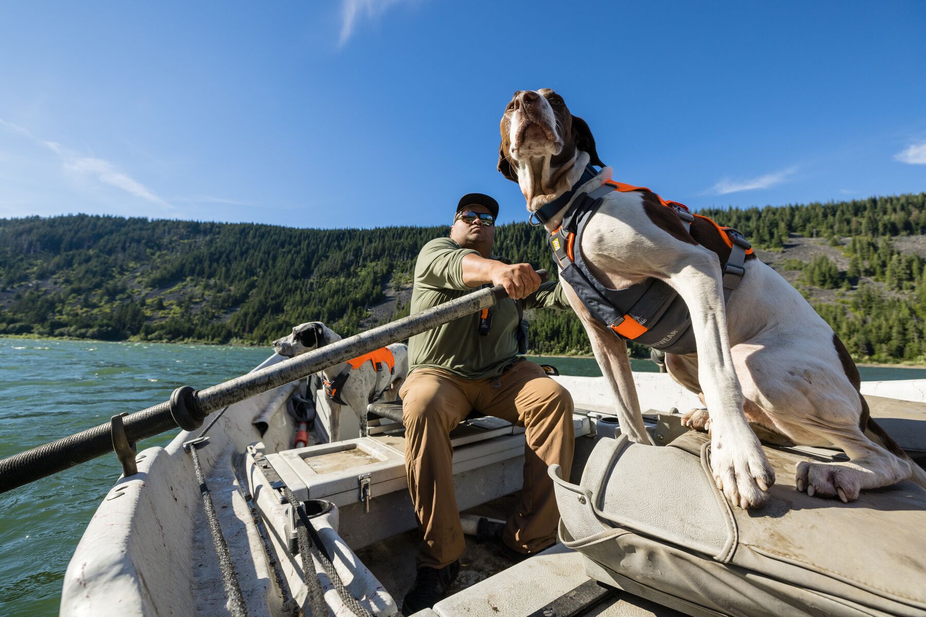 Ruffwear Brush Guard™ Basalt Gray