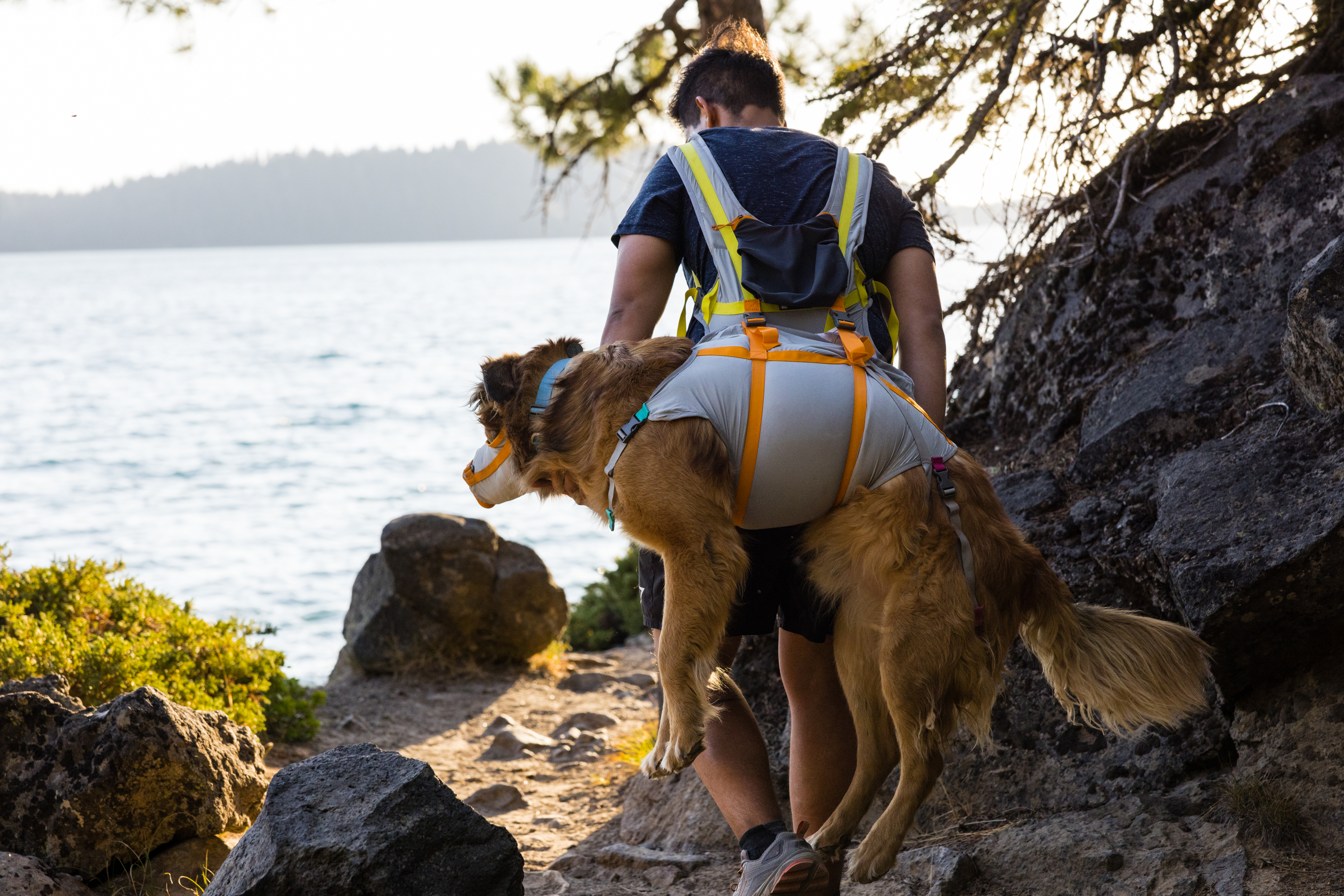 Ruffwear BackTrak™ Dog Evacuation Kit Cloudburst Gray