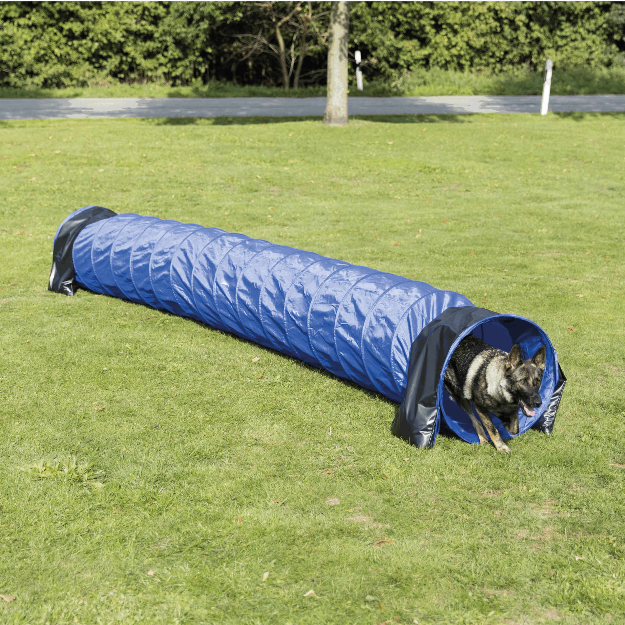 Trixie Dog Activity Agility Basic Tunnel ø 60cm / 5 m, blau