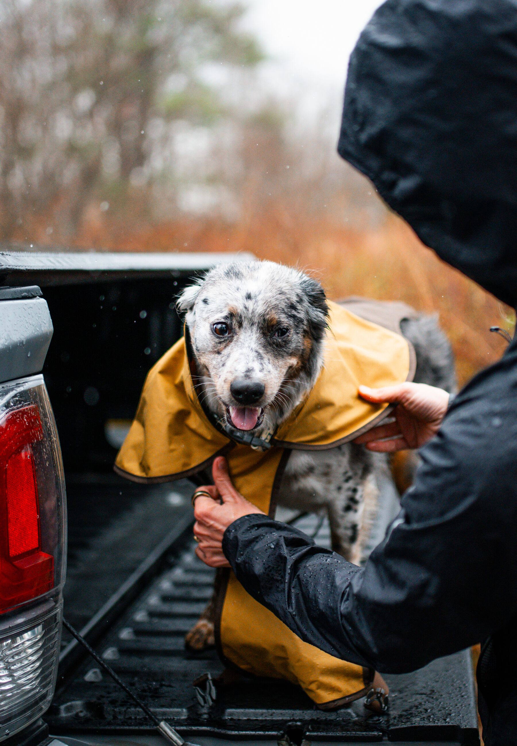 Ruffwear Sun Shower™ Jacket Earth Brown