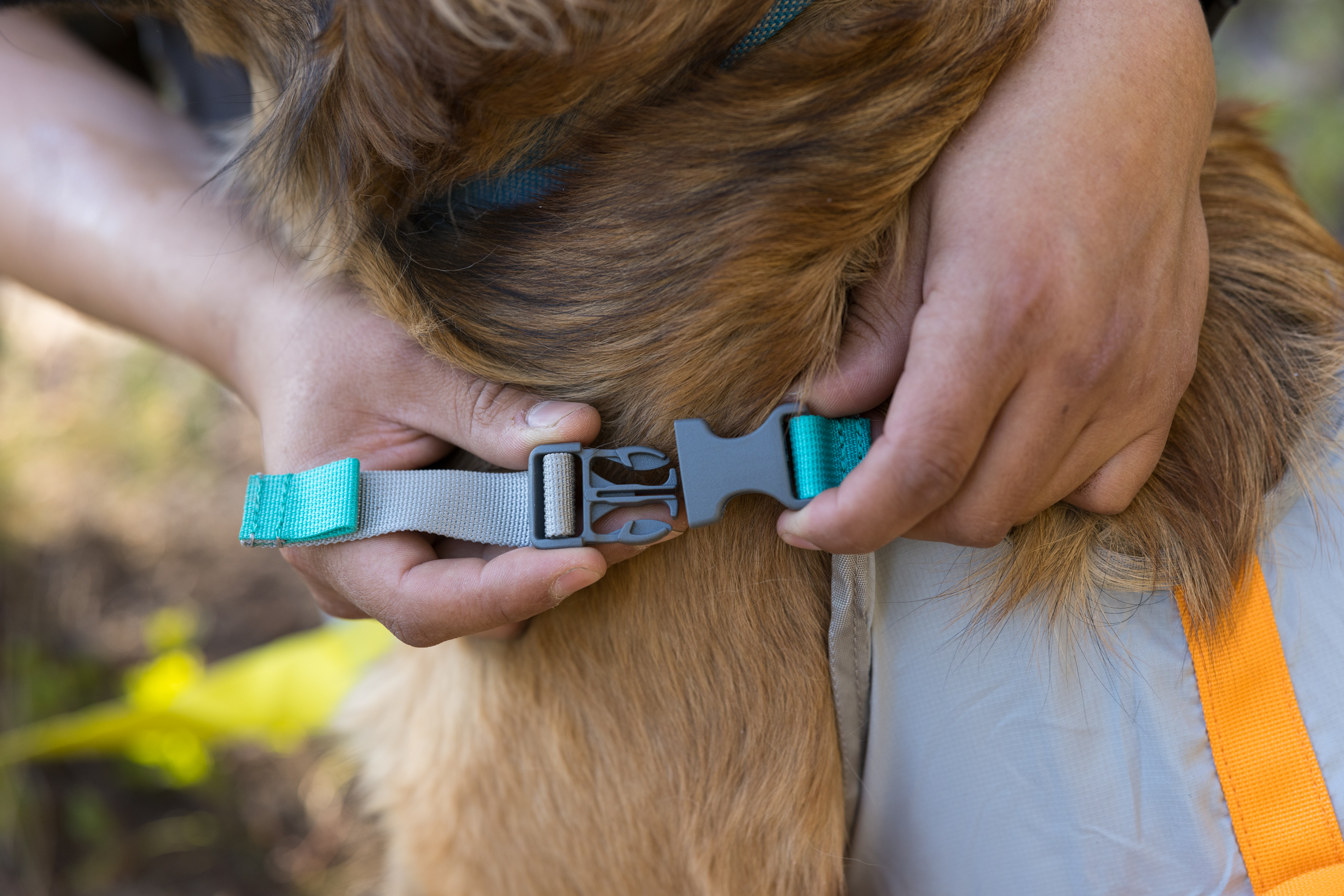 Ruffwear BackTrak™ Dog Evacuation Kit Cloudburst Gray