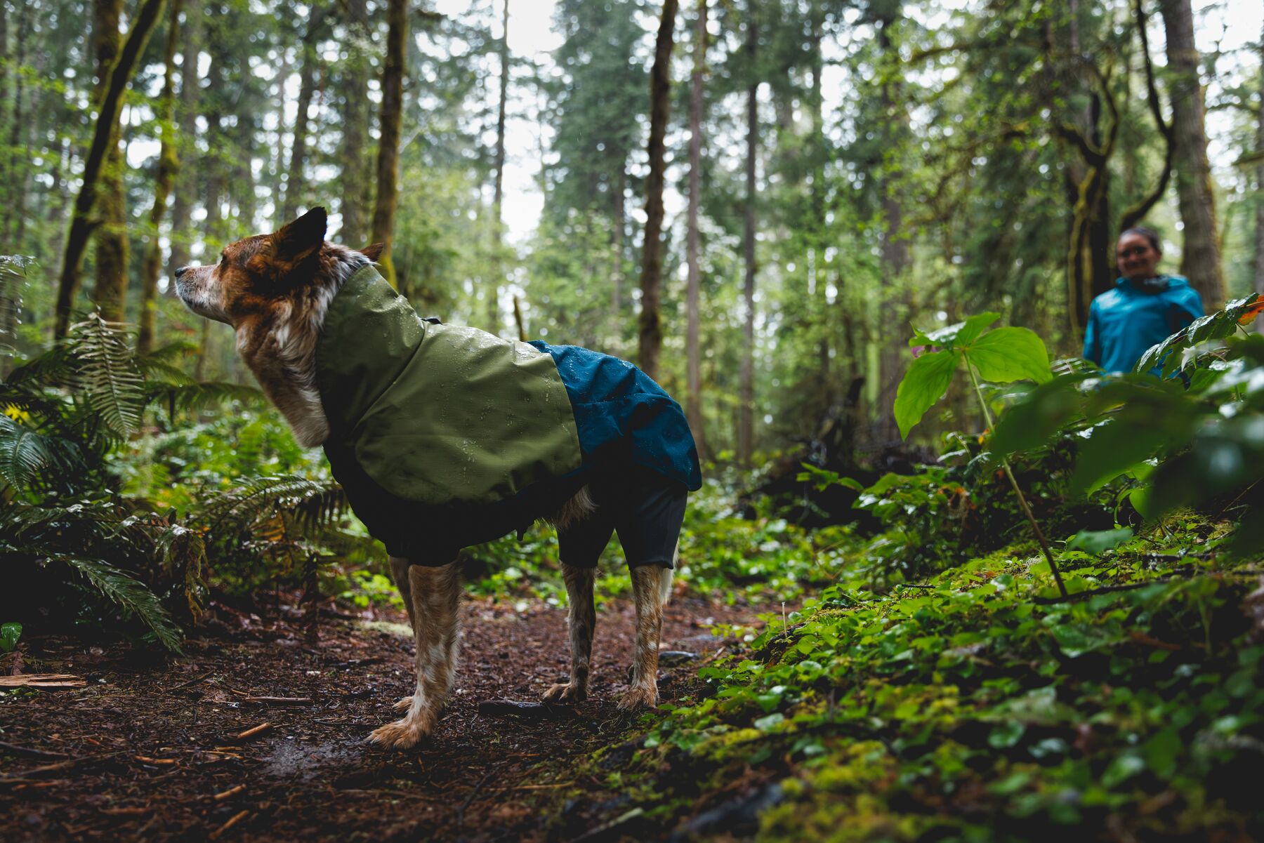 Ruffwear Sun Shower™ Coverall Midnight Blue