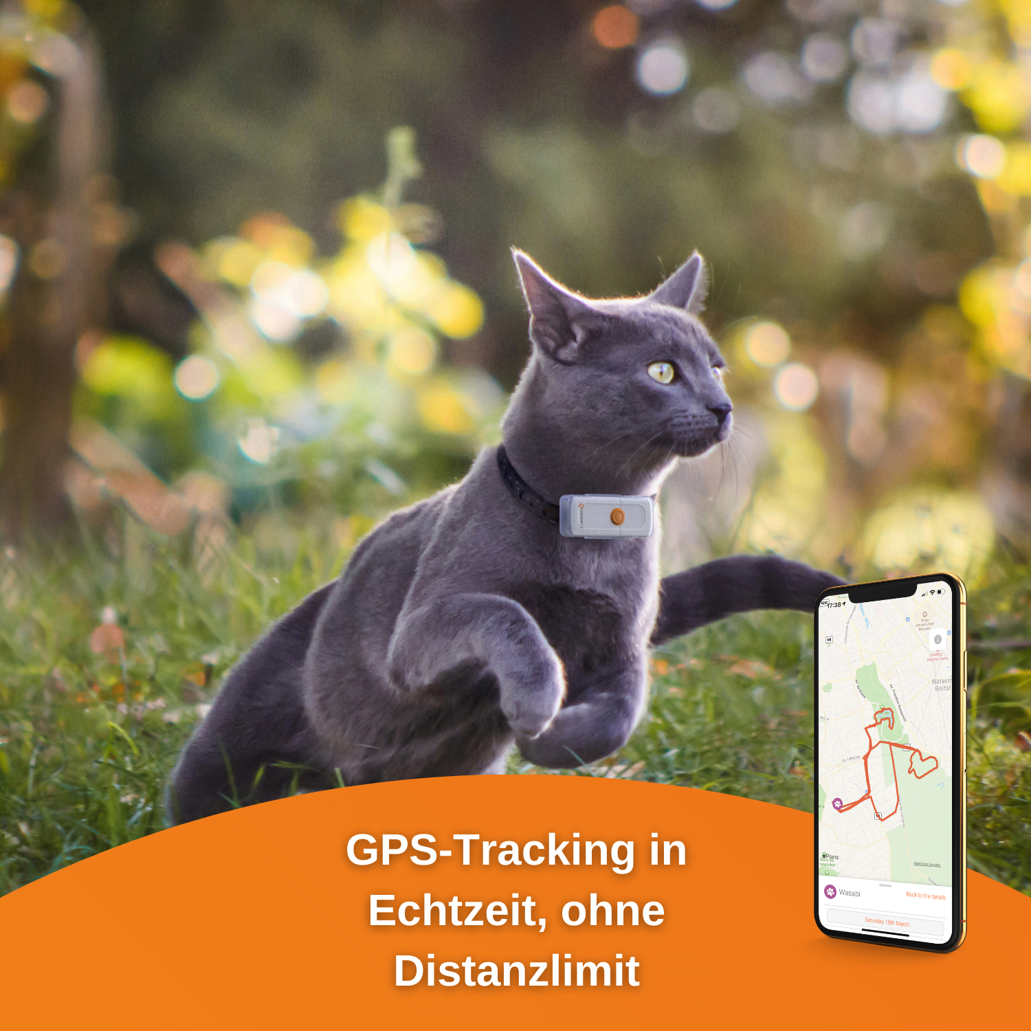 Weenect GPS-Tracker Cats