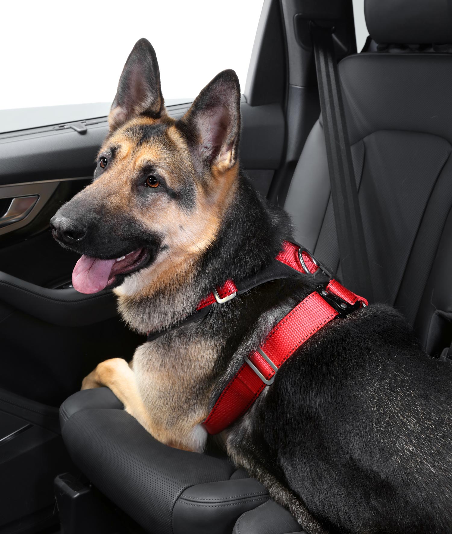 Kleinmetall Allsafe Comfort Hunde-Sicherheitsgurt, TÜV geprüft, Crash getestet