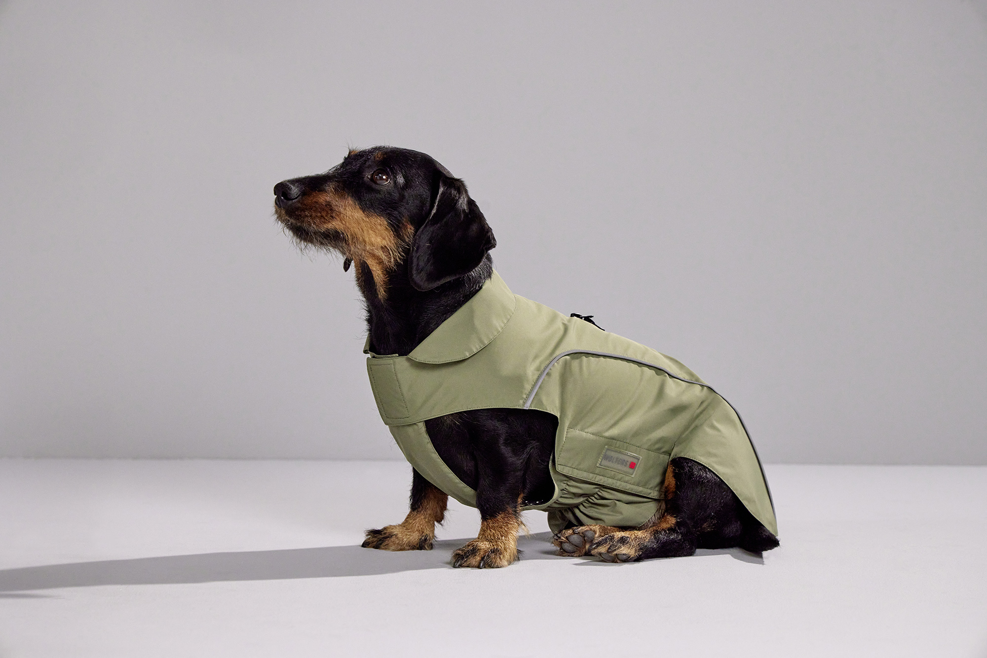 Wolters Regenjacke Easy Rain für Dackel