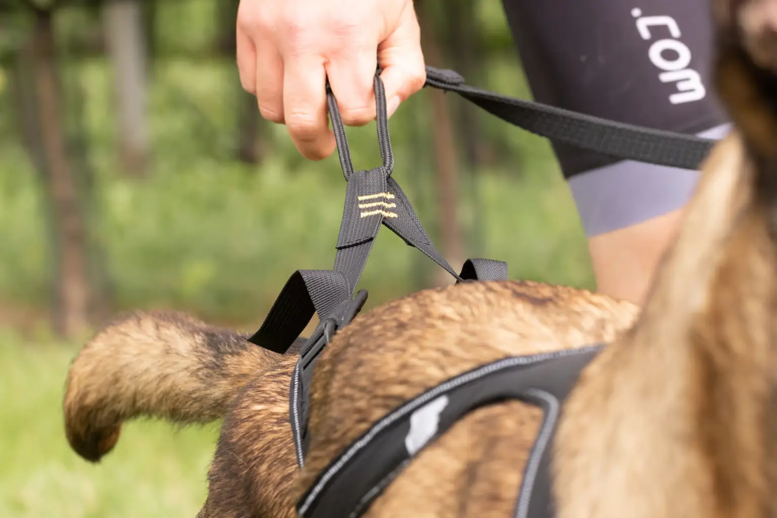 Alphadogsport OMEGA Harness 2.0 - verstellbares Zuggeschirr