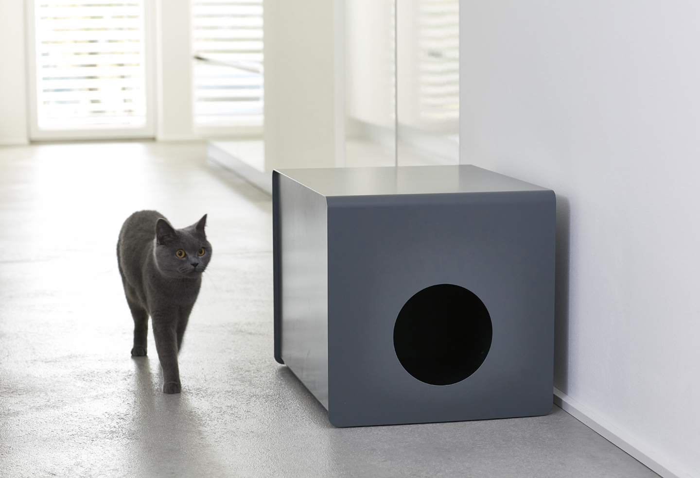 MiaCara Gatto Sito, Einsatz 5er-Pack