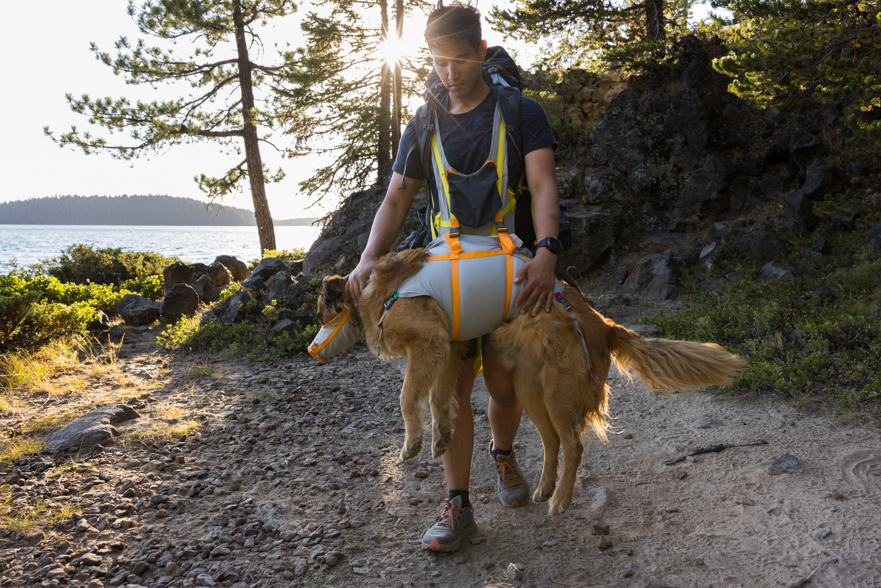 Ruffwear BackTrak™ Dog Evacuation Kit Cloudburst Gray