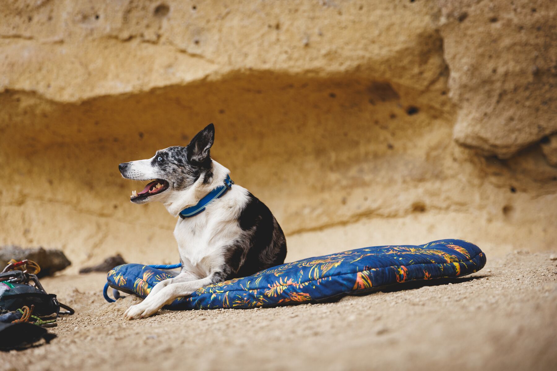 Ruffwear Basecamp™ Bed Deep Jungle