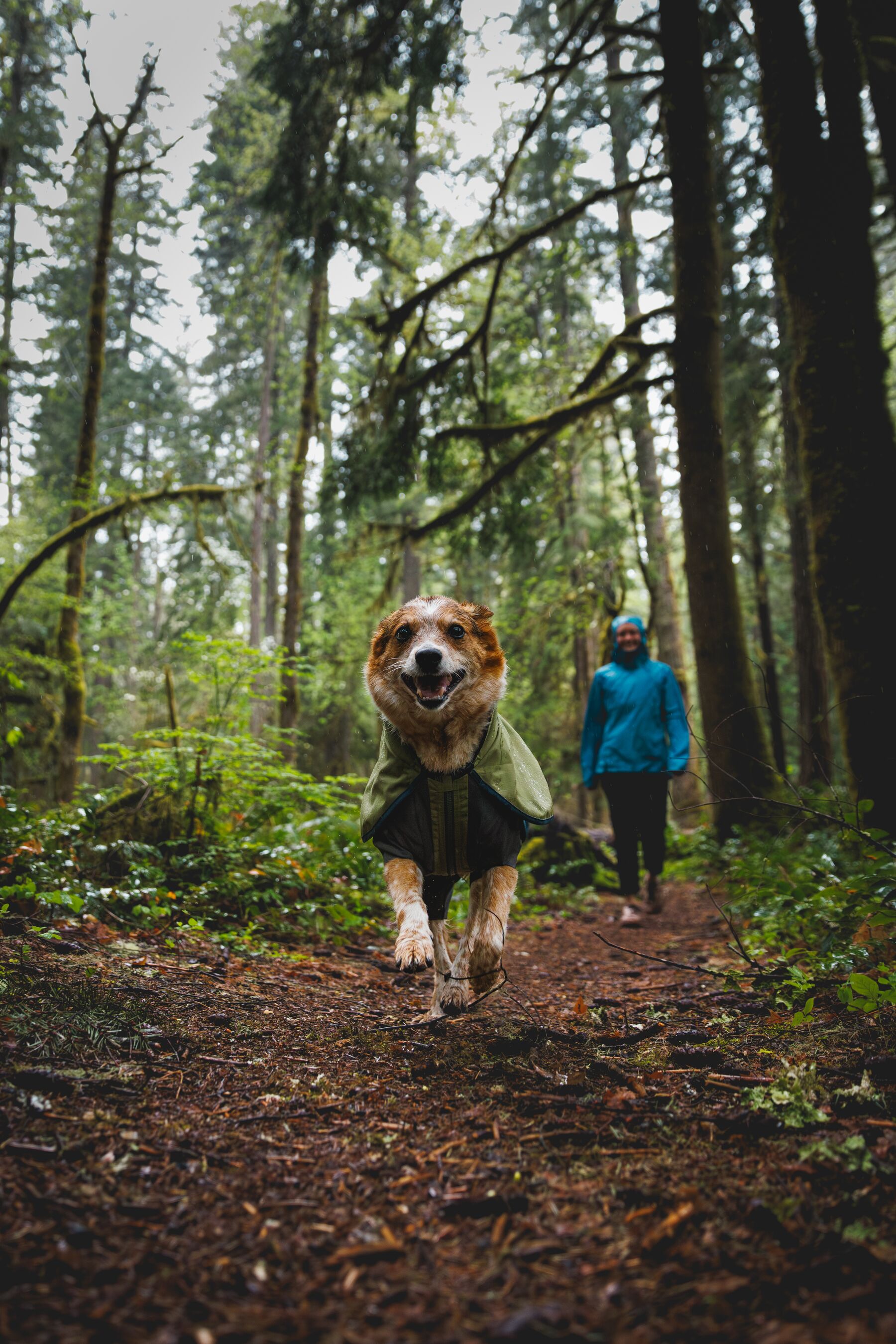 Ruffwear Sun Shower™ Coverall Midnight Blue