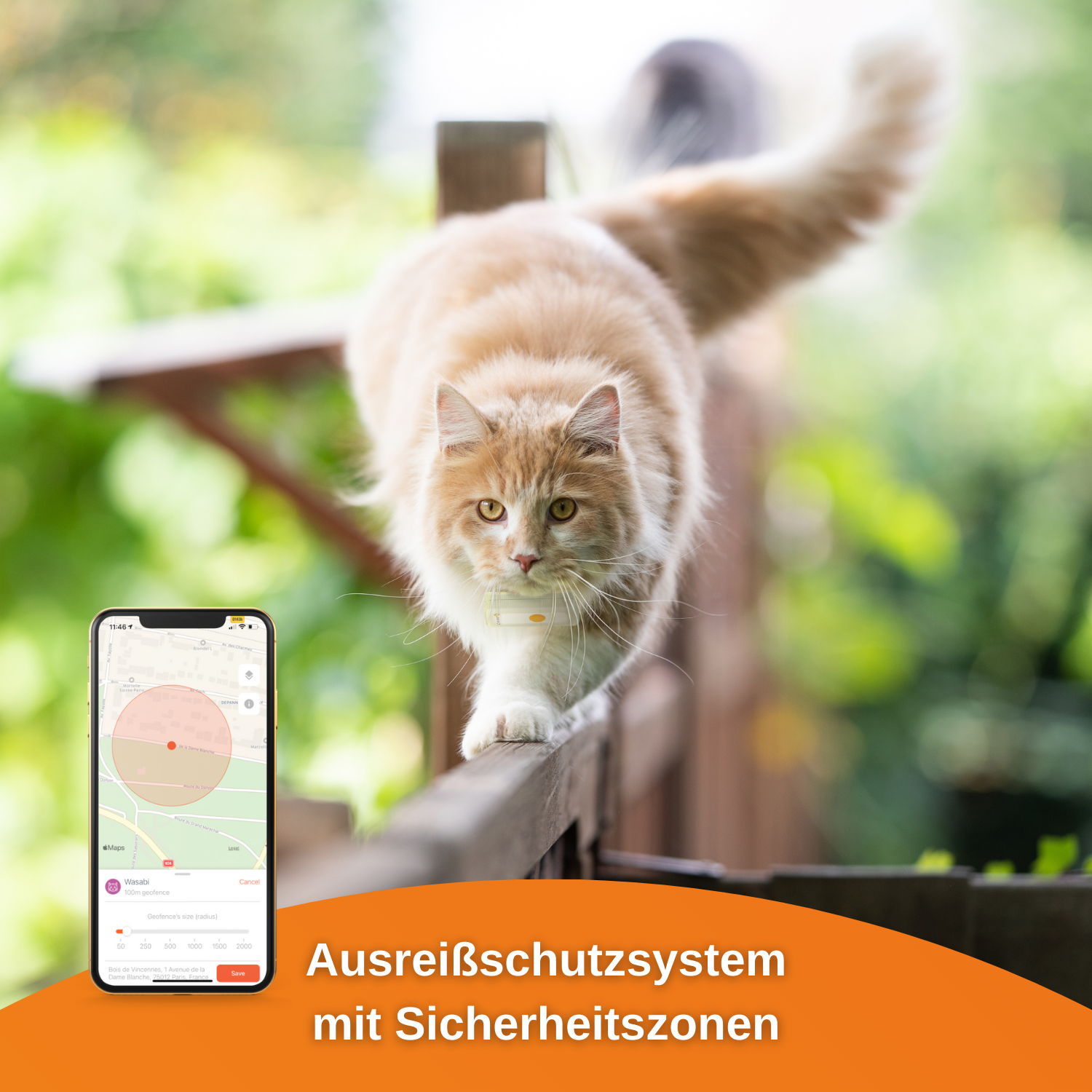 Weenect GPS-Tracker Cats