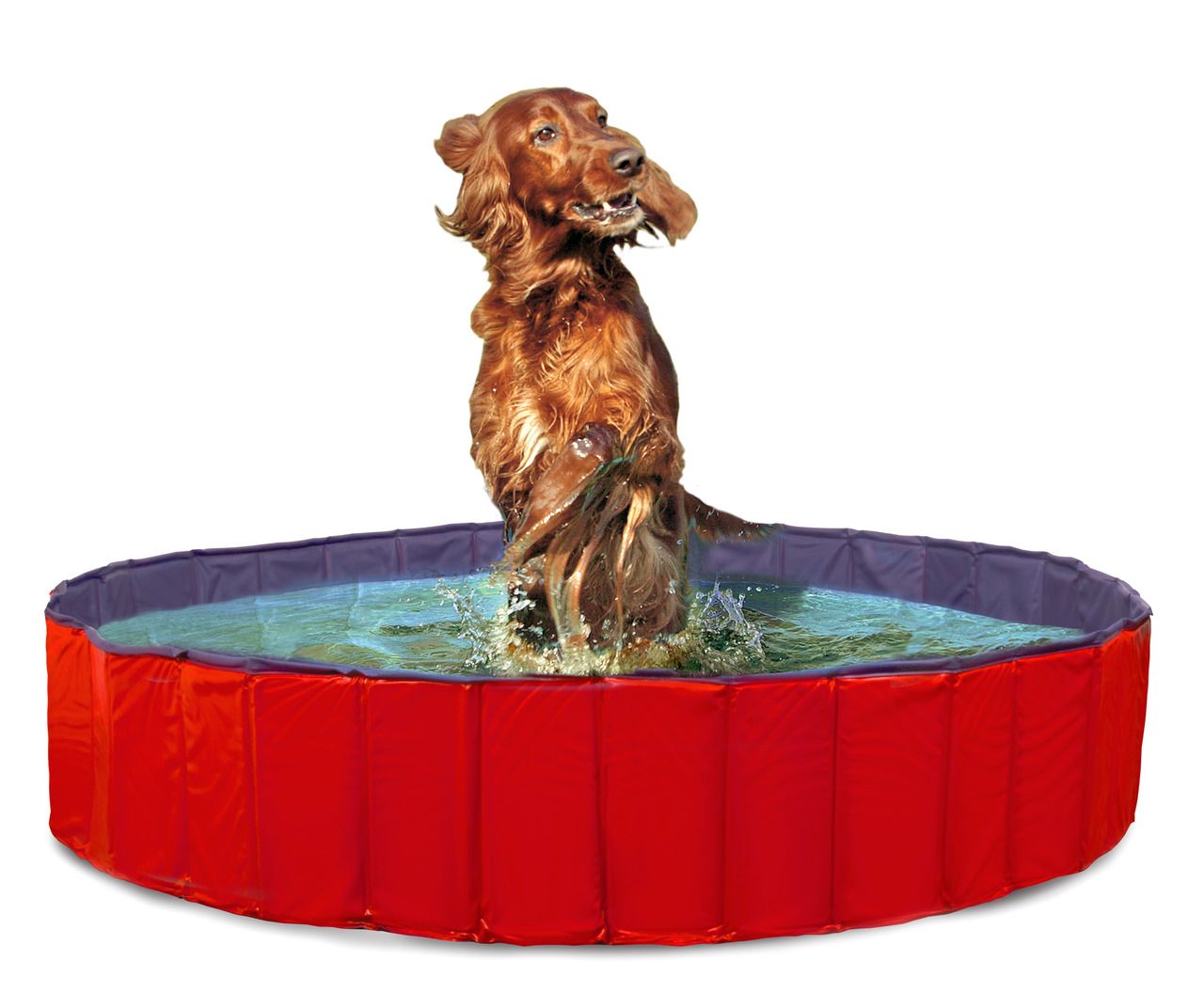 Karlie Doggy Pool blau/rot