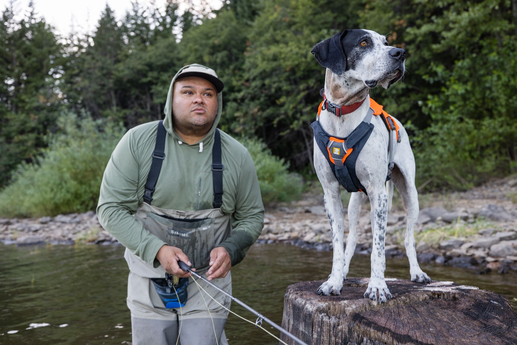 Ruffwear Brush Guard™ Basalt Gray