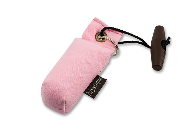 Mystique Mini Dummy Key case