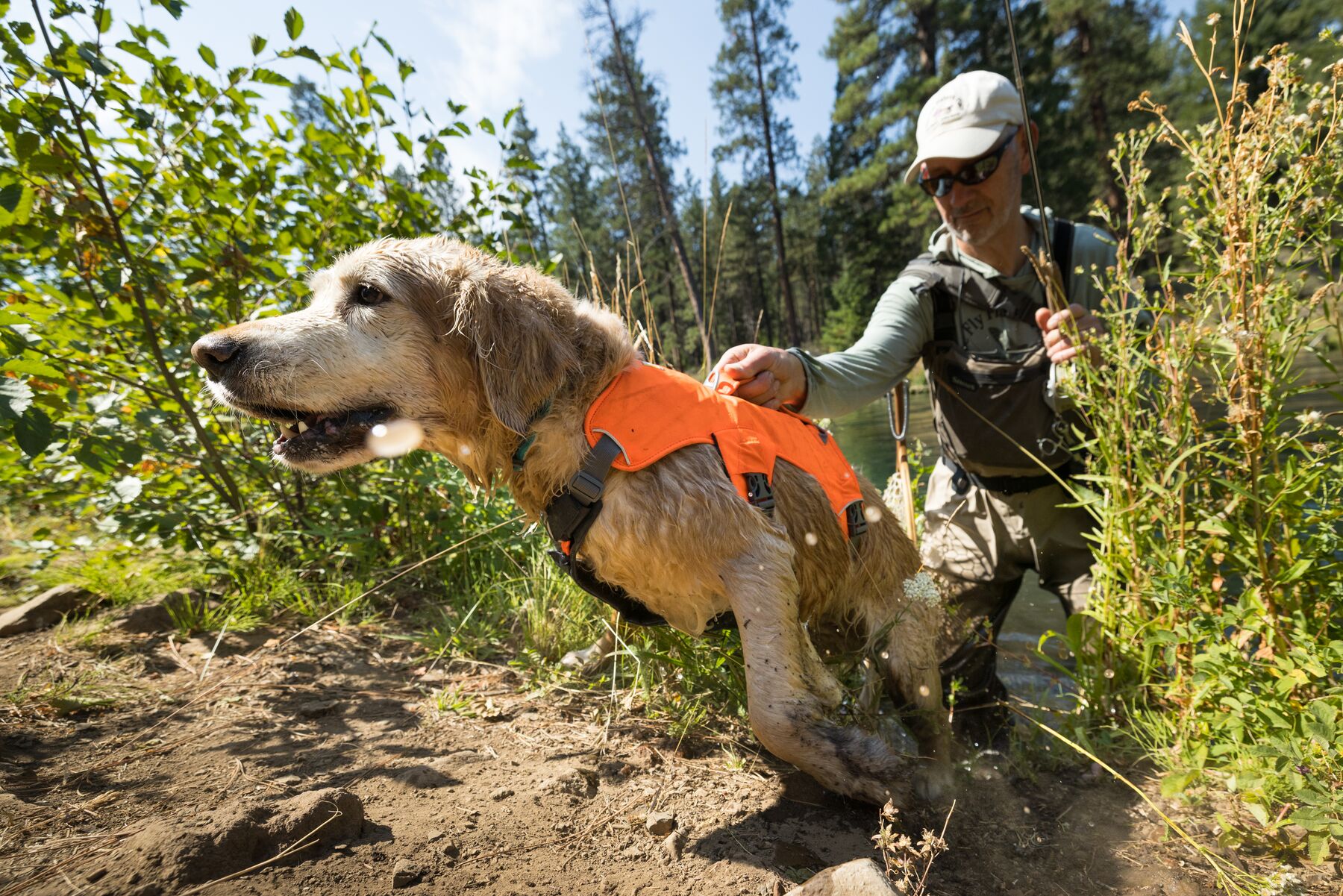 Ruffwear Brush Guard™ Basalt Gray