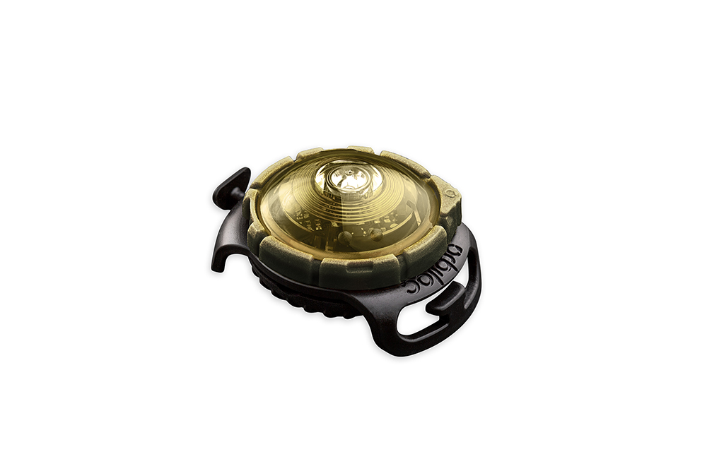 Orbiloc Dog Dual Light gold