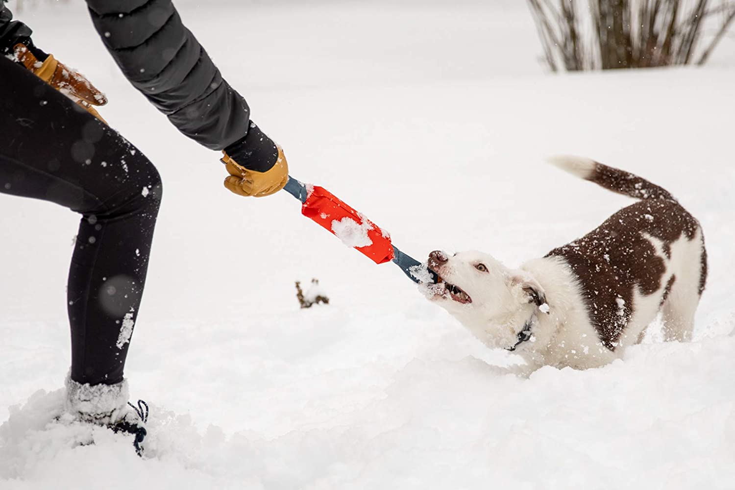 Ruffwear Pacific Loop Toy