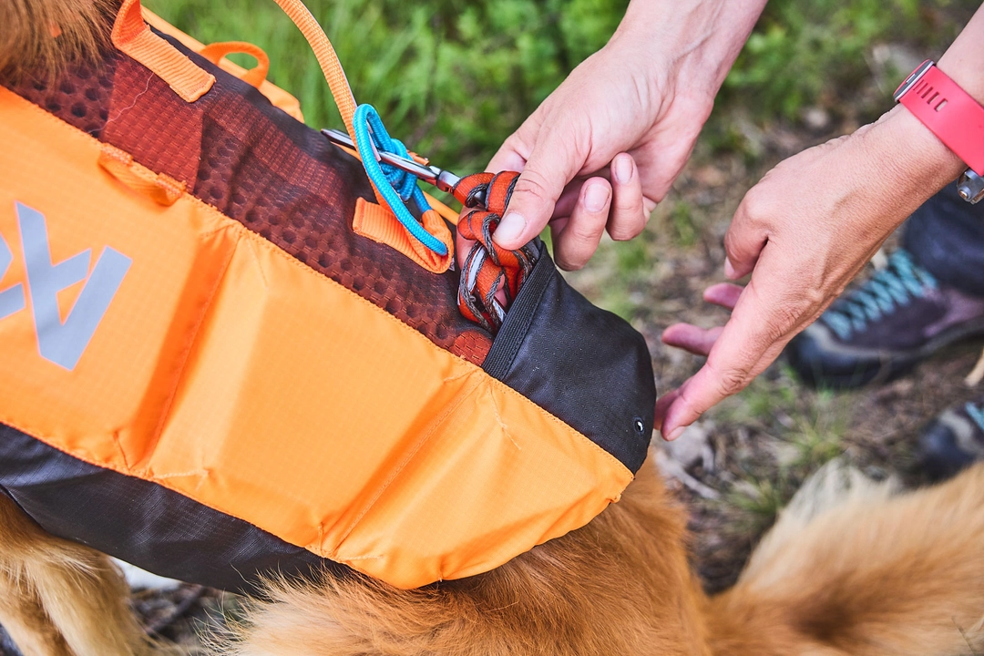 Non-stop dogwear Protector Life Jacket teal