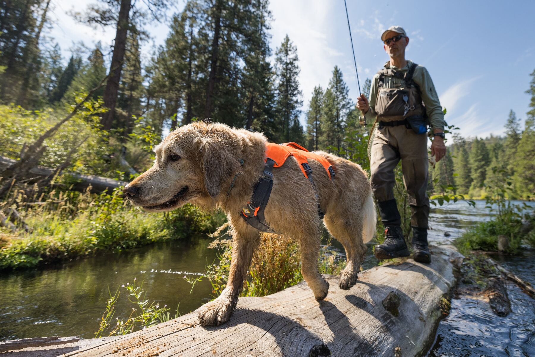 Ruffwear Brush Guard™ Basalt Gray