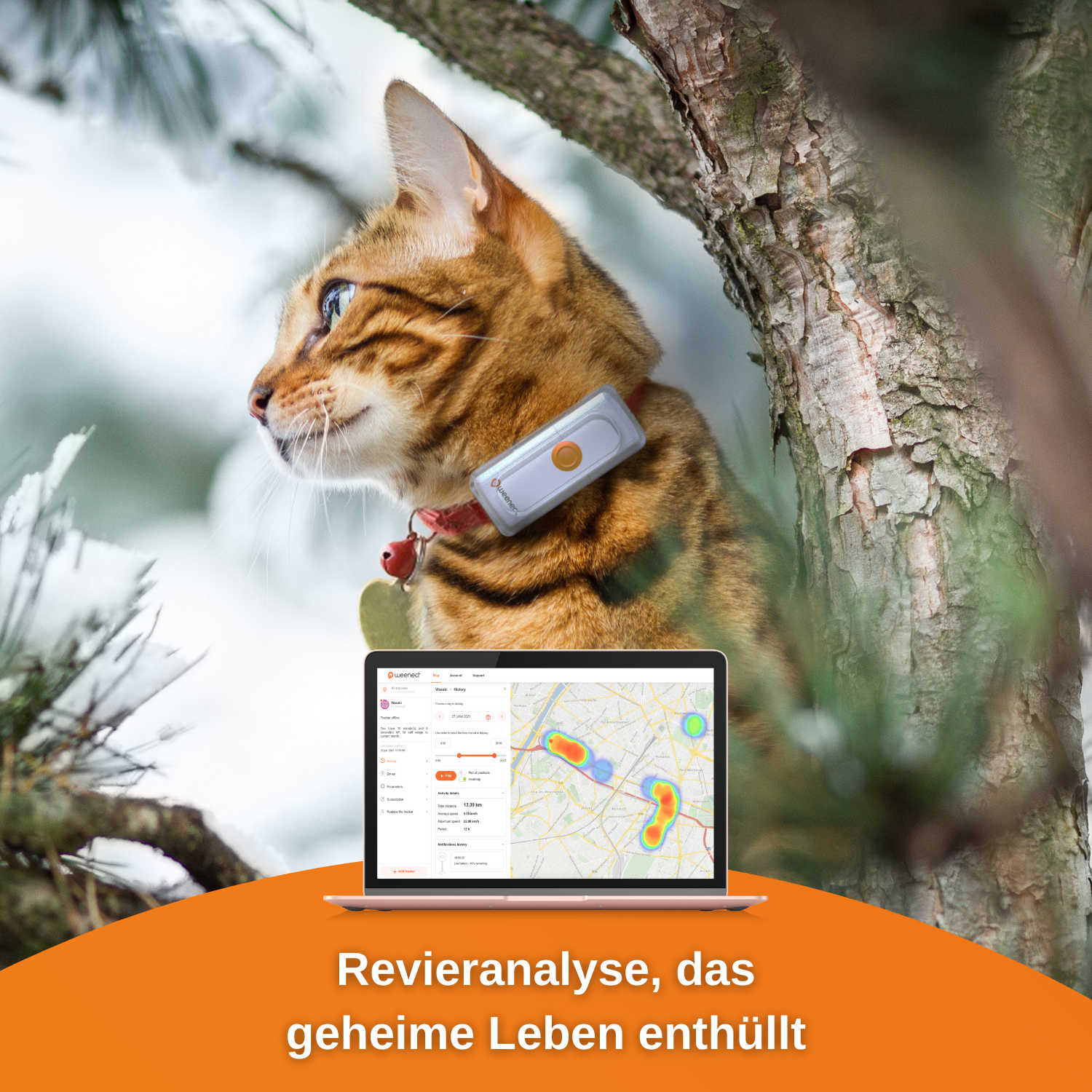 Weenect GPS-Tracker Cats