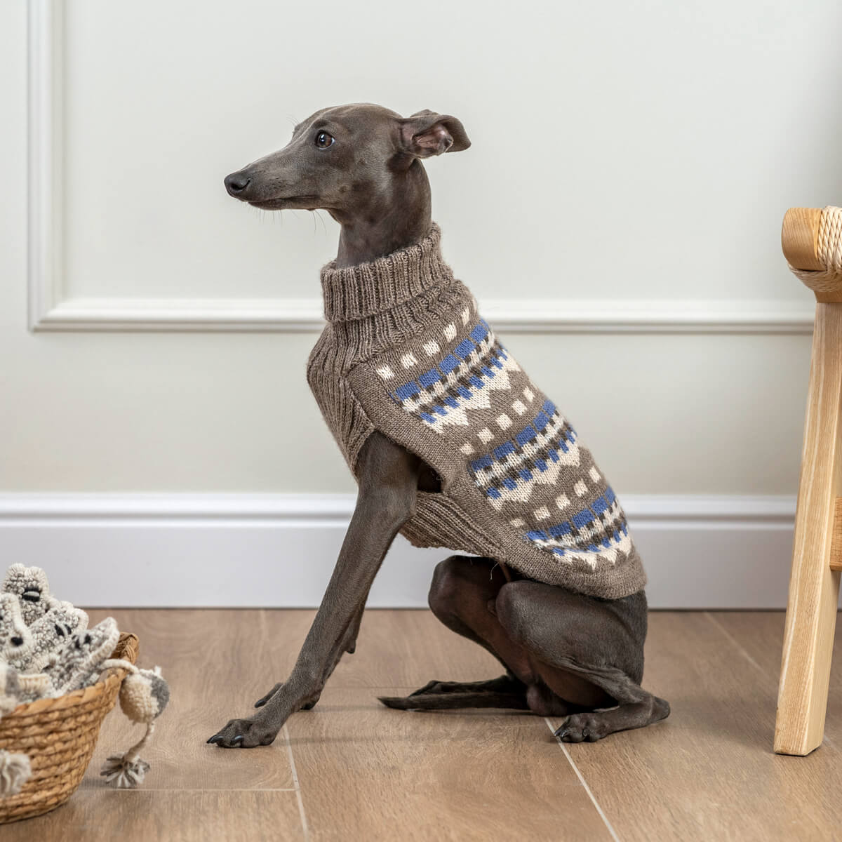 Alqo Wasi Hunde-Pullover Oasis