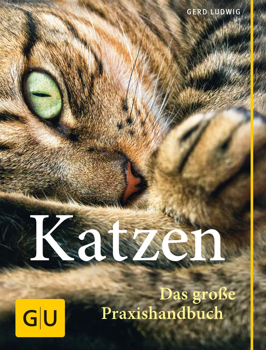 GU - Praxishandbuch Katzen [Gerd Ludwig]