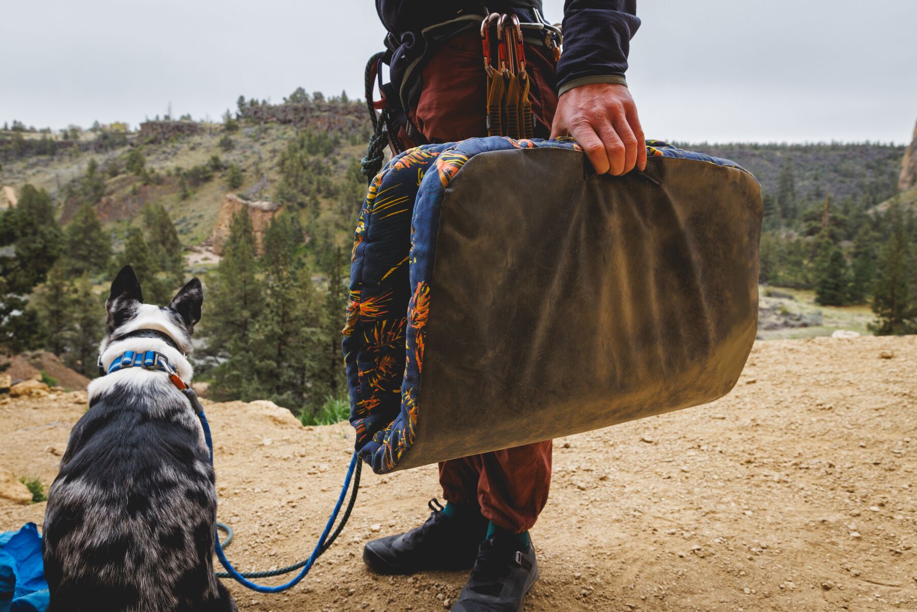 Ruffwear Basecamp™ Bed Deep Jungle