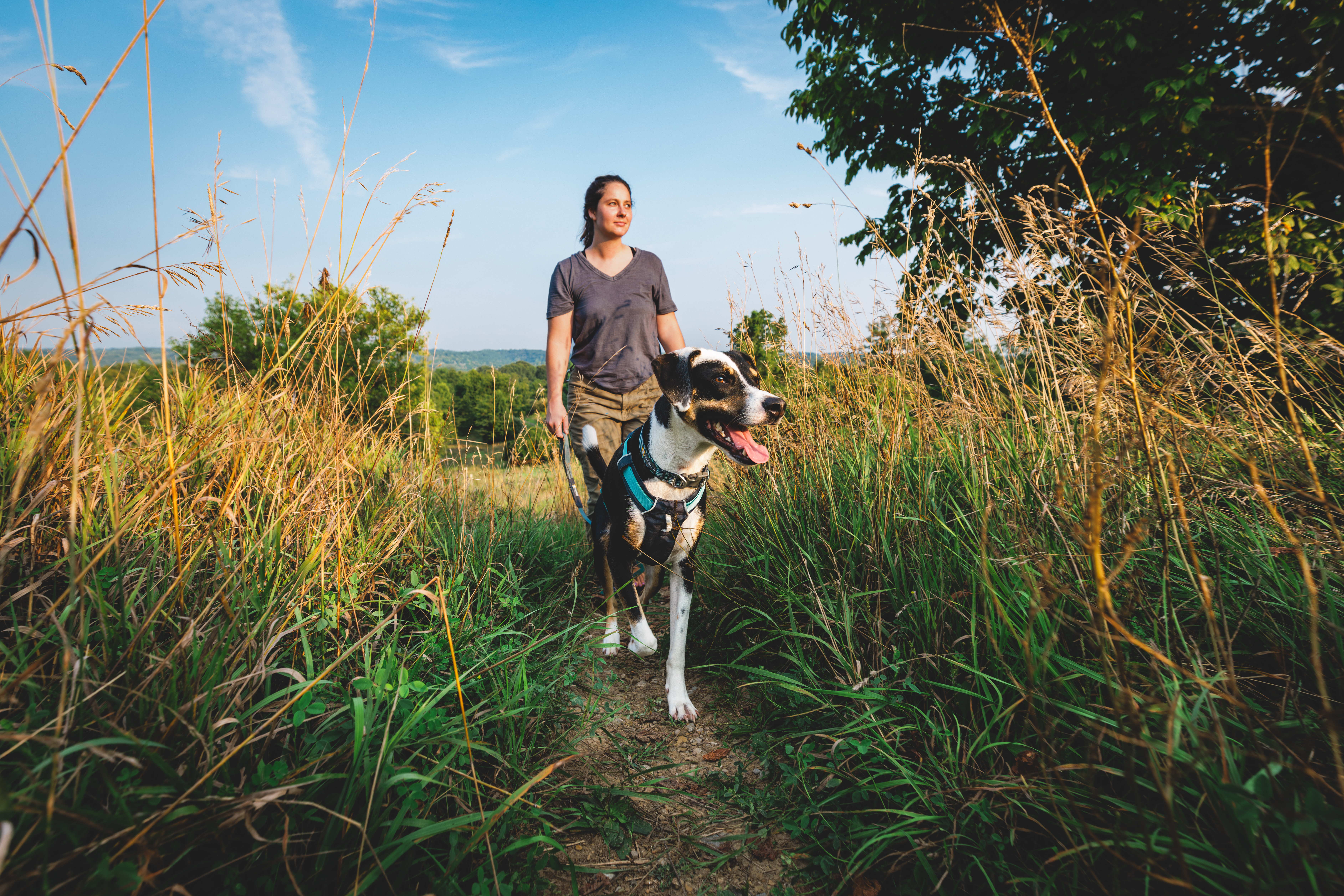 Ruffwear Hi & Light™ Harness Basalt Gray