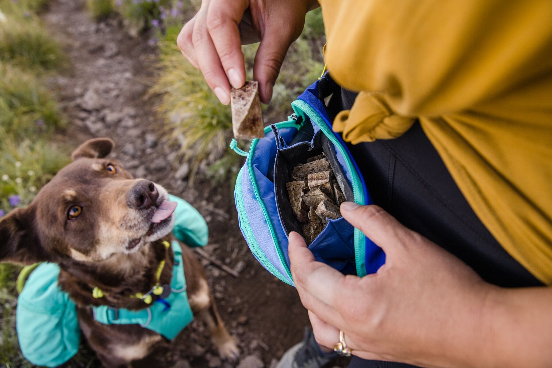 Ruffwear Home Trail™ Hip Pack Heliotrope Purple