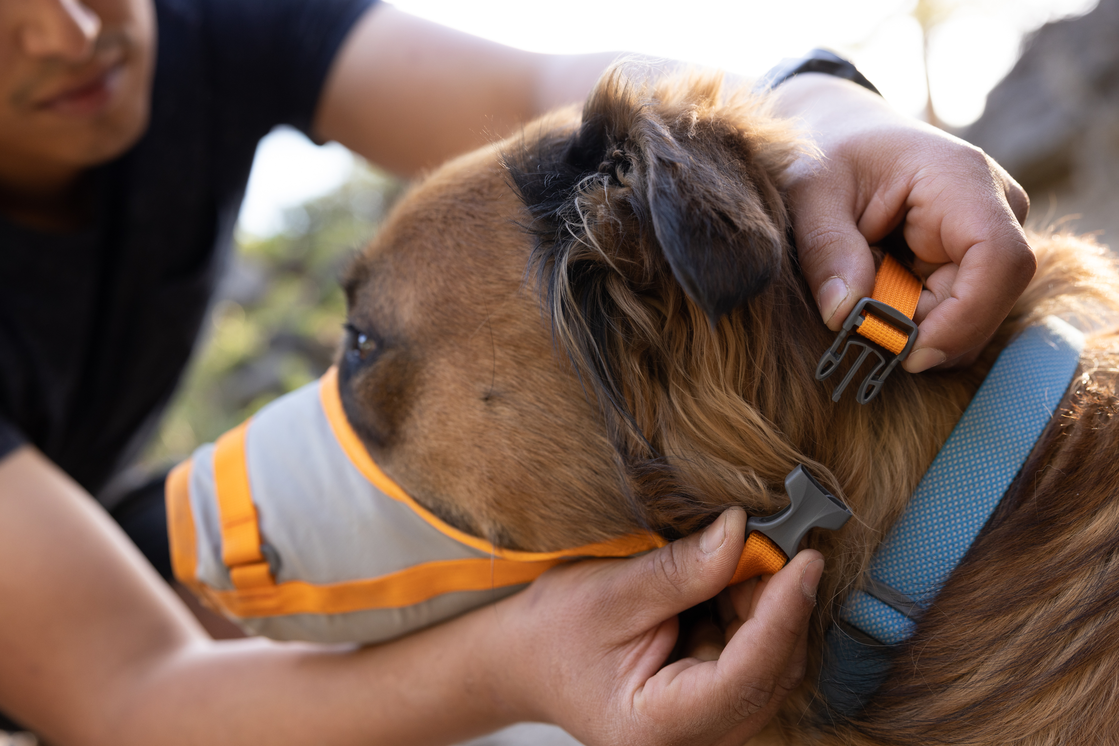 Ruffwear BackTrak™ Dog Evacuation Kit Cloudburst Gray