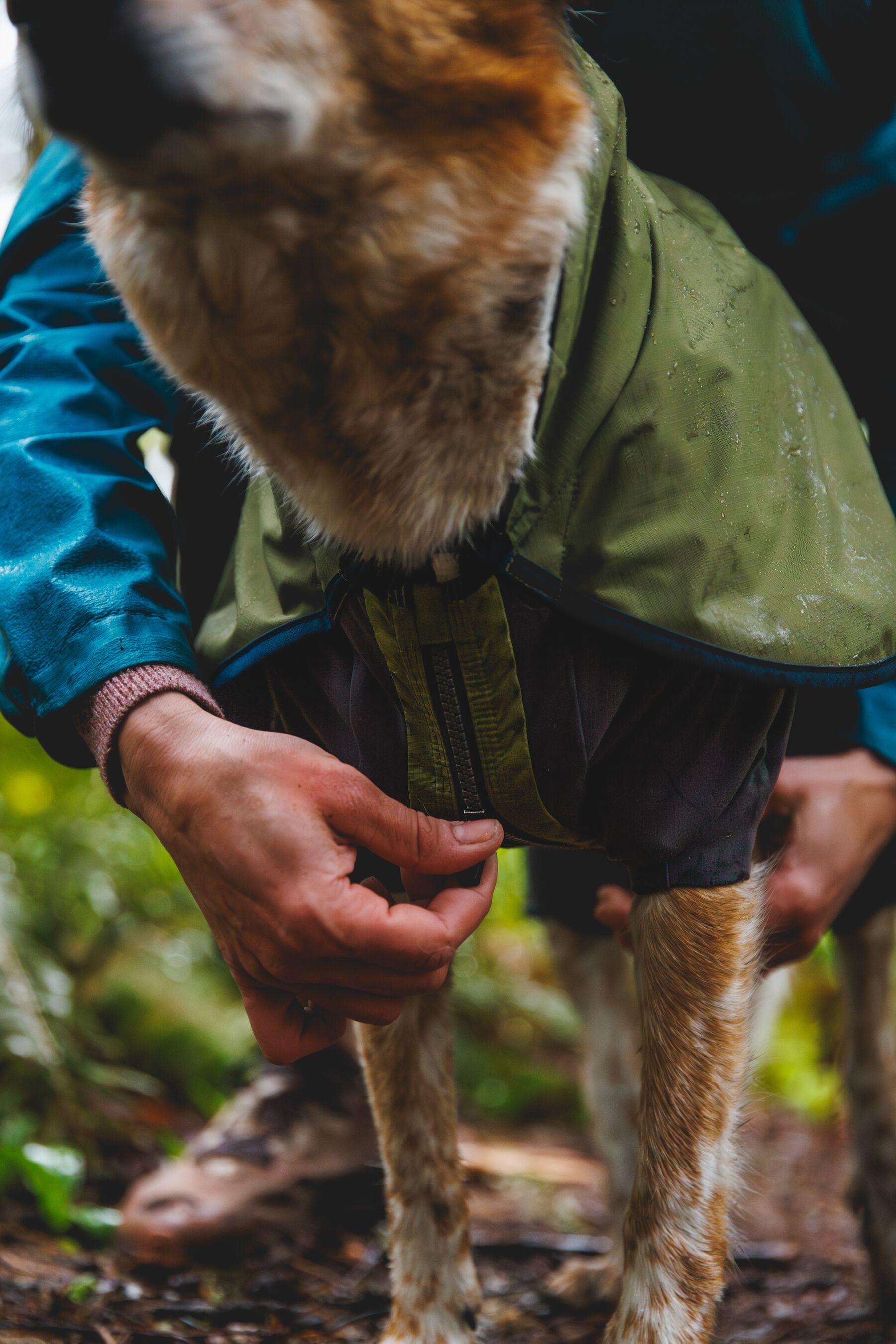 Ruffwear Sun Shower™ Coverall Midnight Blue