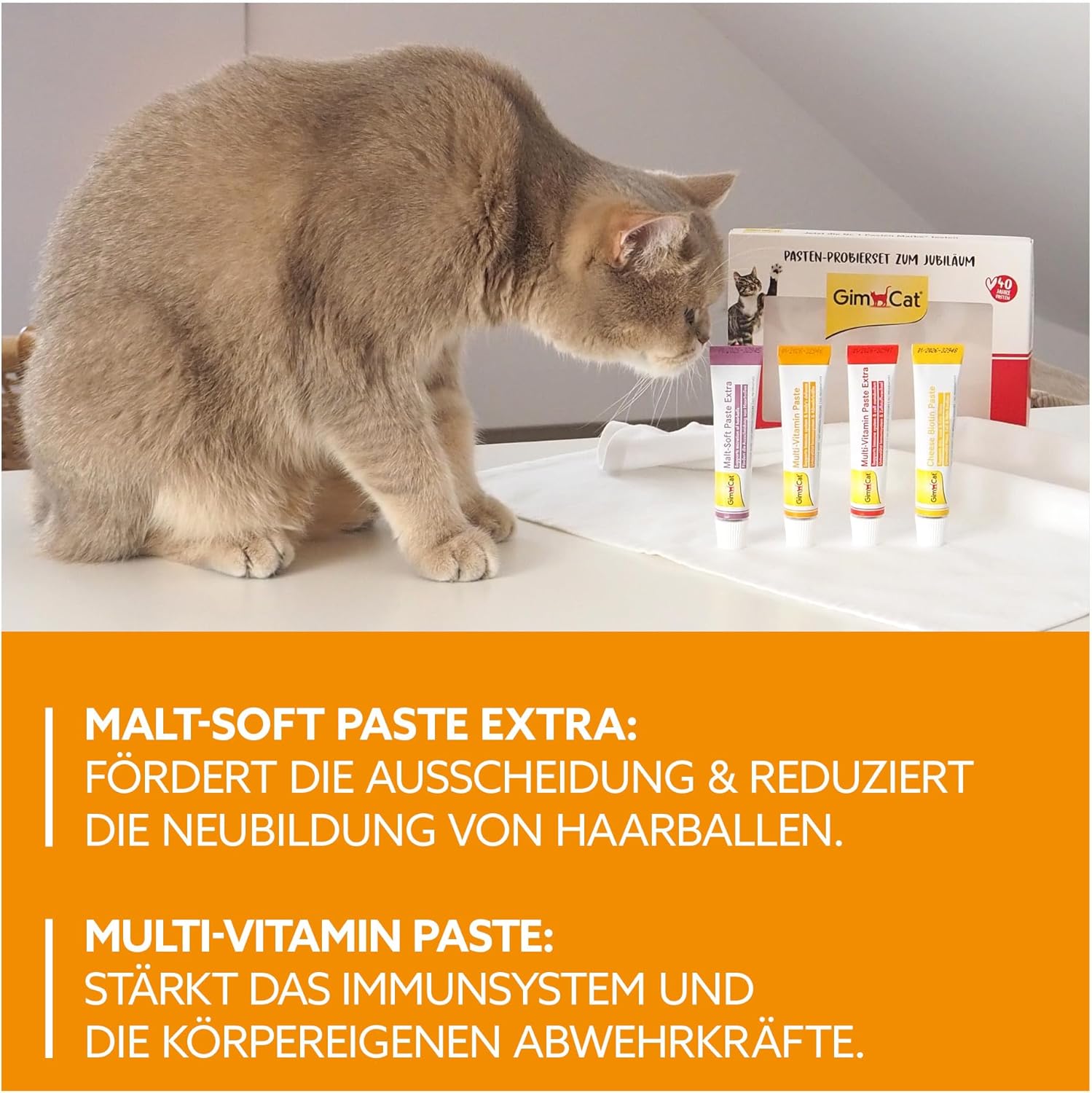 GimCat Pasten-Probierset 4x15g